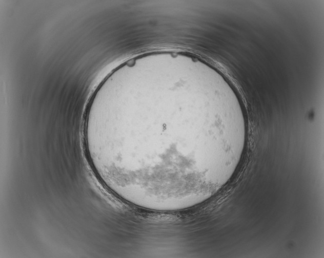 X0000115591187200912011456