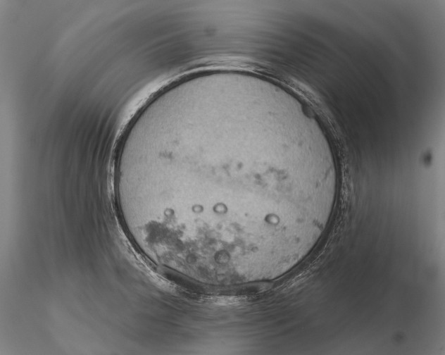 X0000115591188200912011456