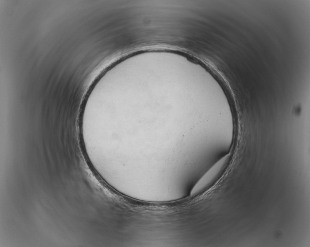X0000115591189200912011456