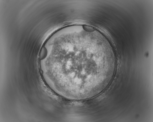 X0000115591190200912011456