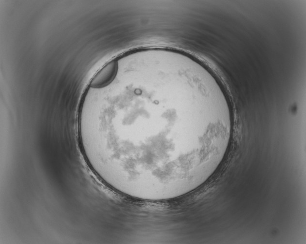 X0000115591191200912011456