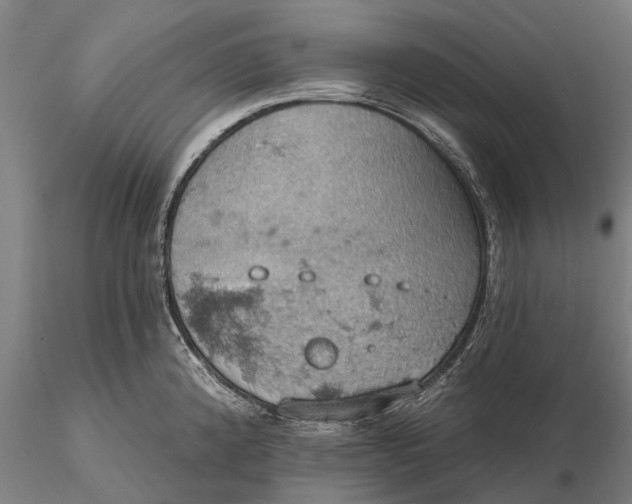 X0000115591192200912011456