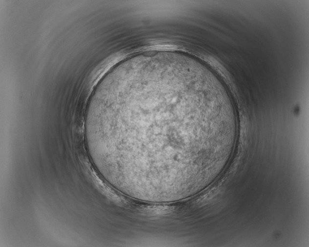 X0000115591193200912011455