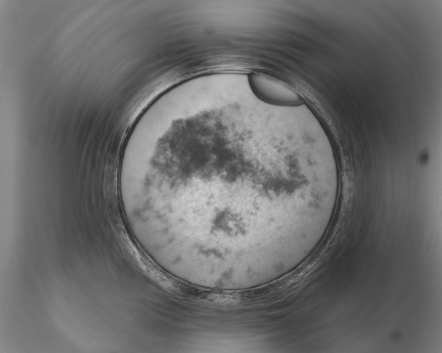 X0000115591194200912011455