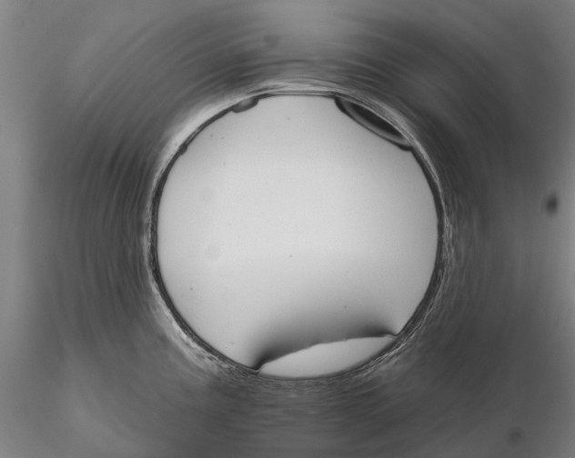 X0000115591195200912011455