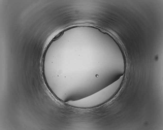 X0000115591196200912011455