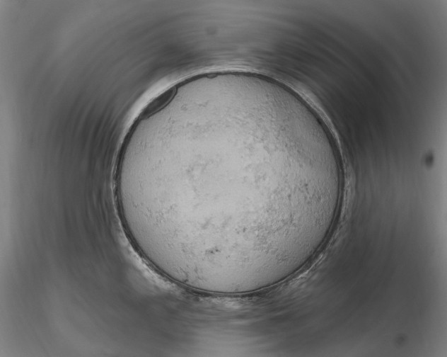 X0000115591197200912011455