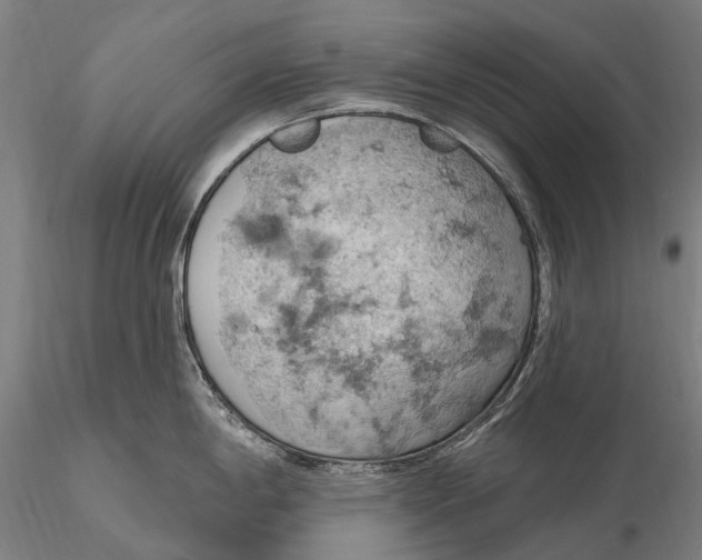 X0000115591198200912011455