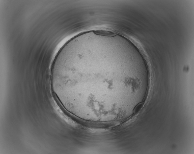 X0000115591200200912011455
