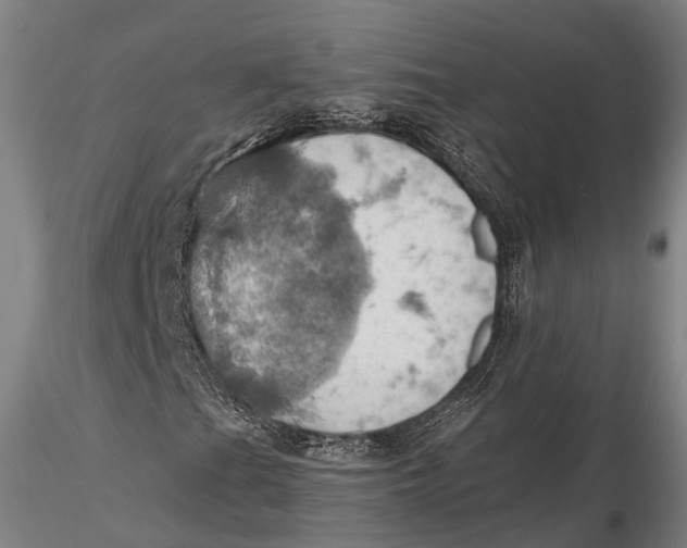 X0000115591201200912011455