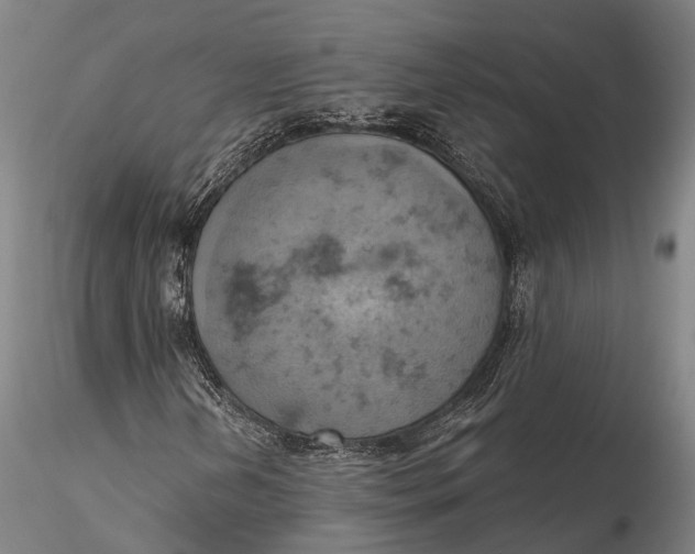 X0000115591202200912011455