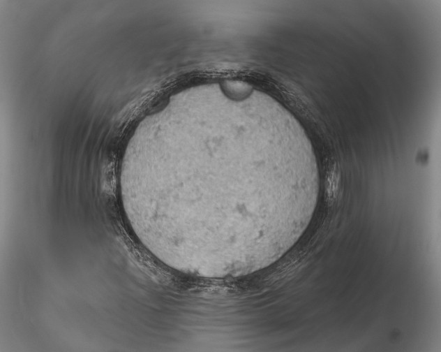 X0000115591204200912011455