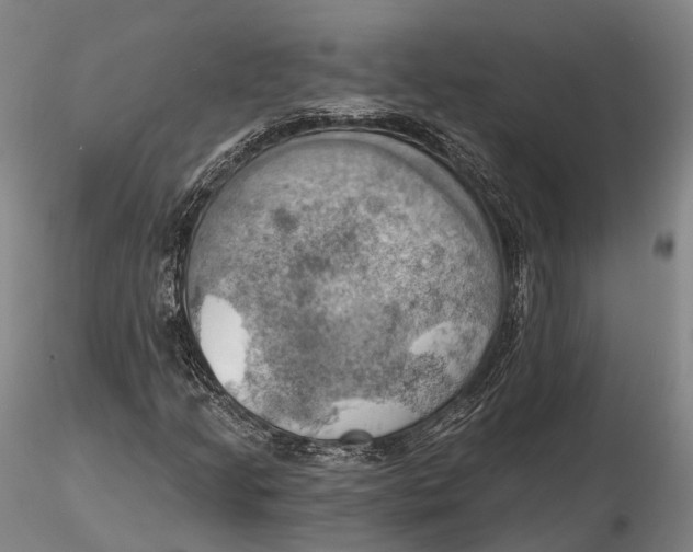 X0000115591205200912011455