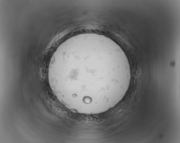 X0000115591207200912011455