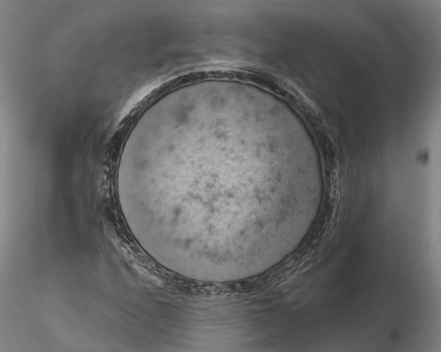X0000115591208200912011455