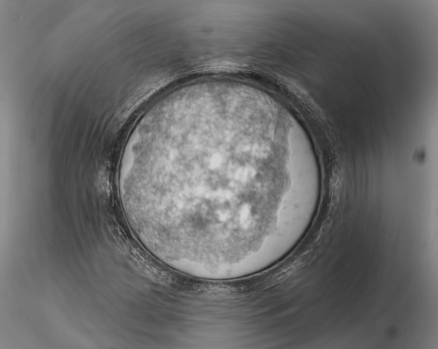 X0000115591209200912011455
