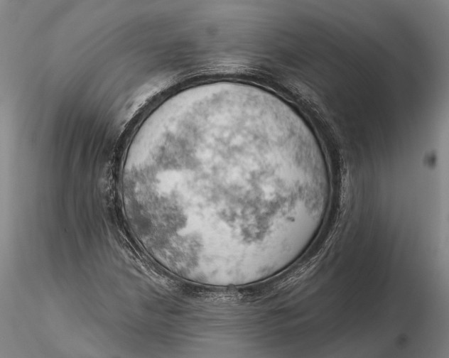 X0000115591210200912011455