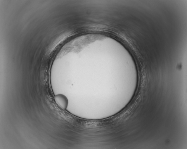 X0000115591211200912011455