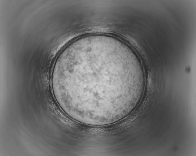 X0000115591212200912011455
