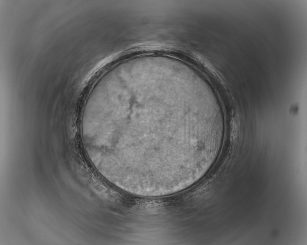 X0000115591213200912011455