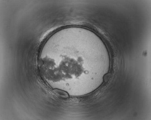 X0000115591214200912011455