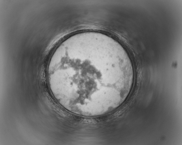 X0000115591215200912011455