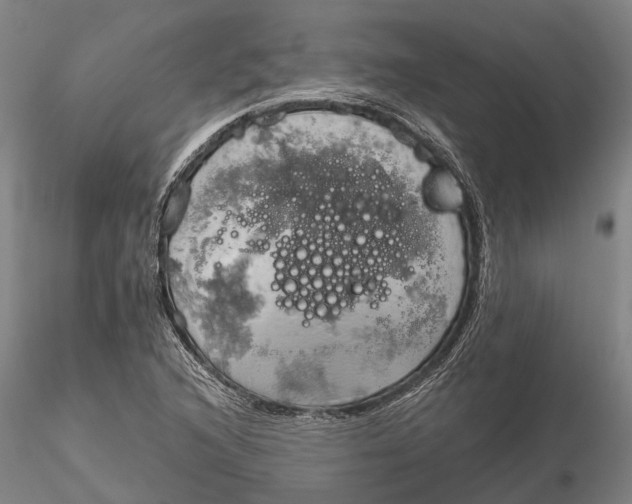 X0000115591216200912011455