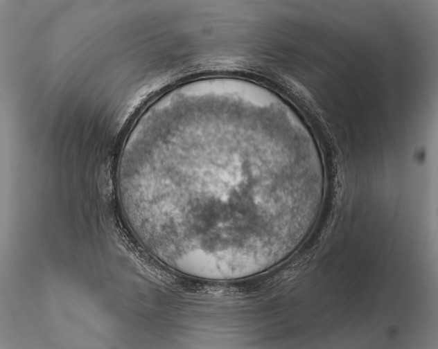 X0000115591218200912011455