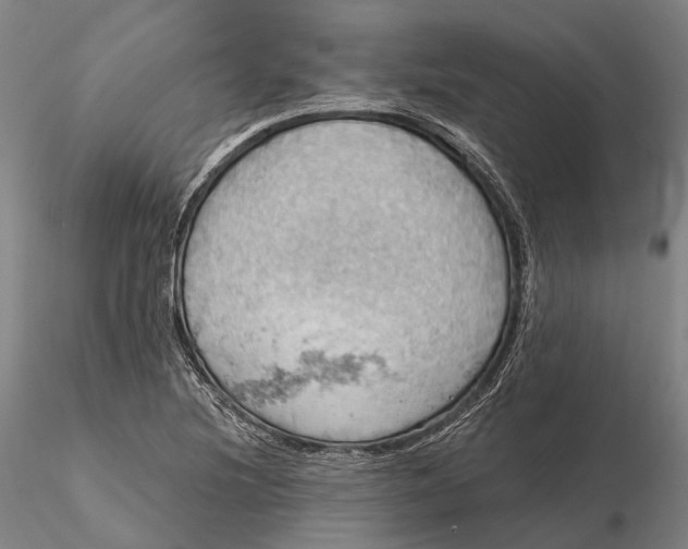 X0000115591220200912011455