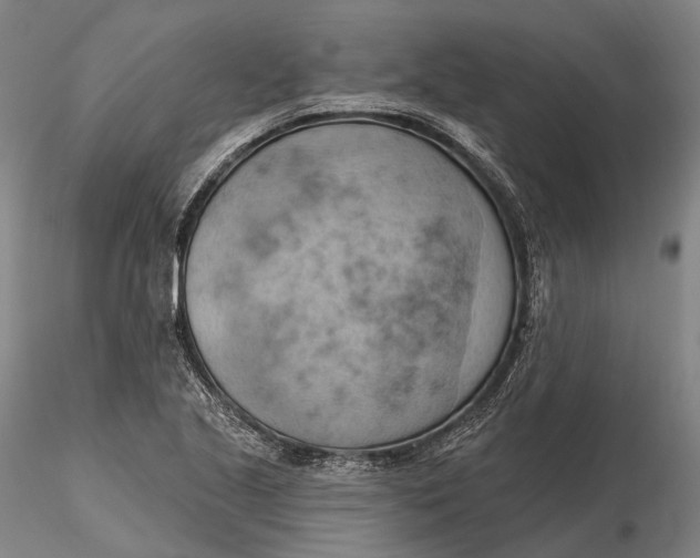 X0000115591221200912011455