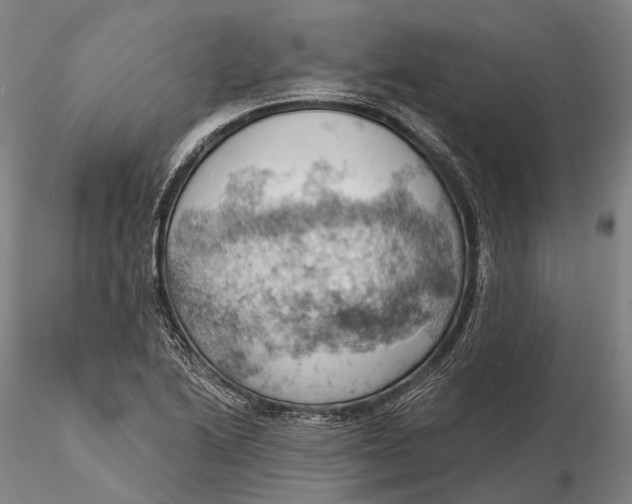 X0000115591222200912011455