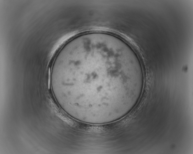 X0000115591223200912011455