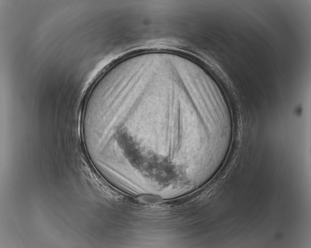 X0000115591224200912011455