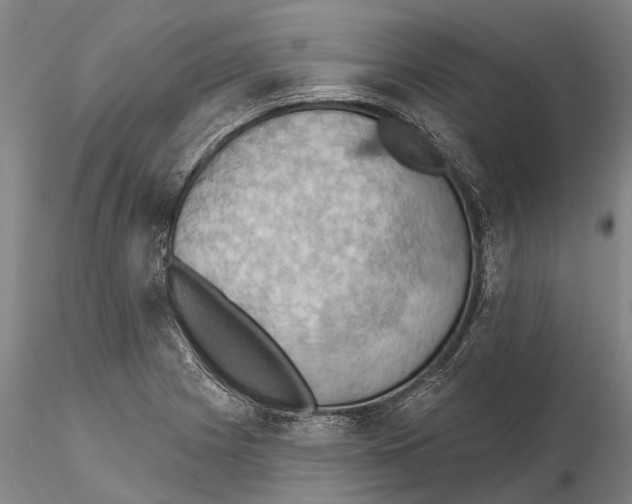 X0000115591225200912011455