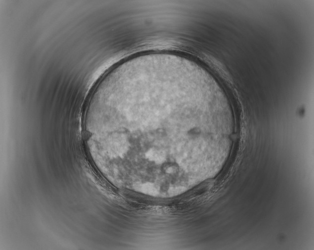 X0000115591226200912011455