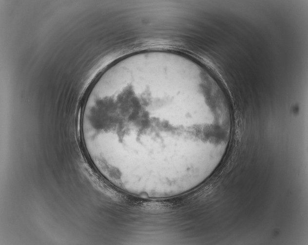 X0000115591227200912011455