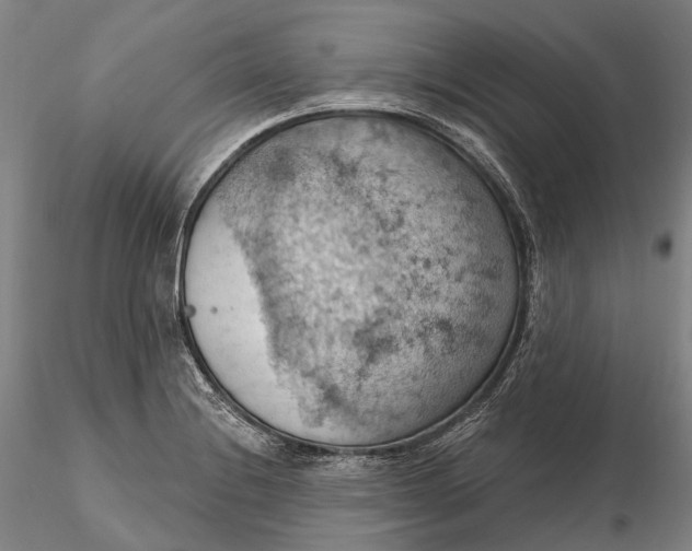 X0000115591228200912011455