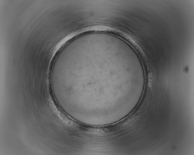 X0000115591229200912011455