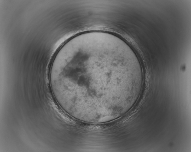 X0000115591230200912011455