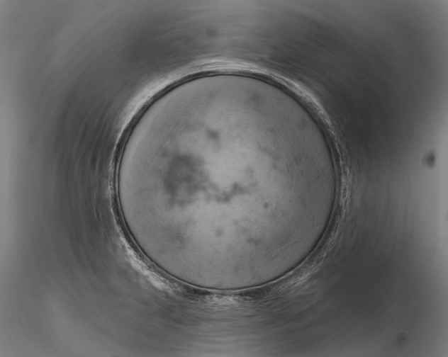X0000115591231200912011455