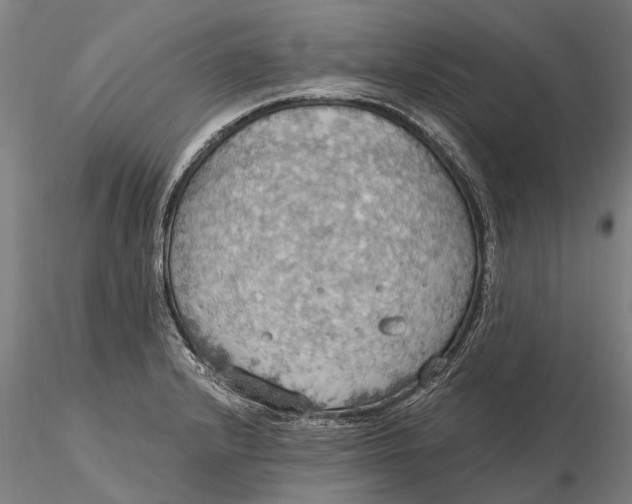 X0000115591232200912011455