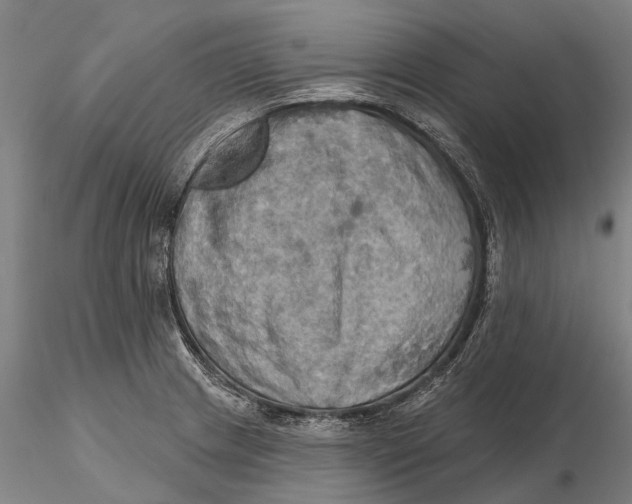 X0000115591233200912011455