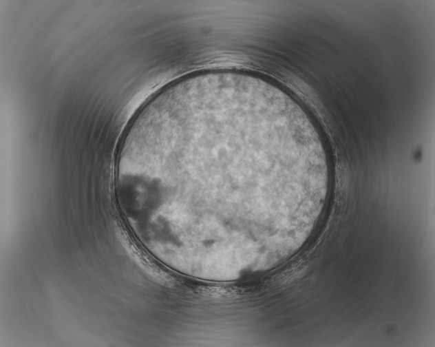 X0000115591234200912011455