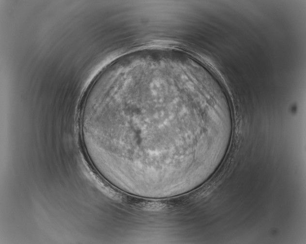 X0000115591235200912011455