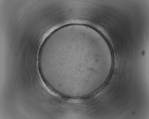 X0000115591237200912011455