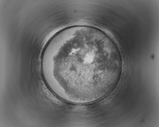 X0000115591238200912011455