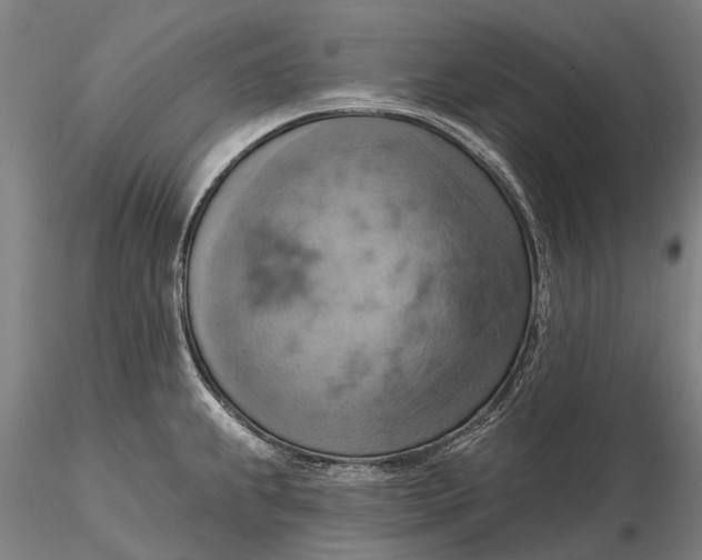 X0000115591239200912011455
