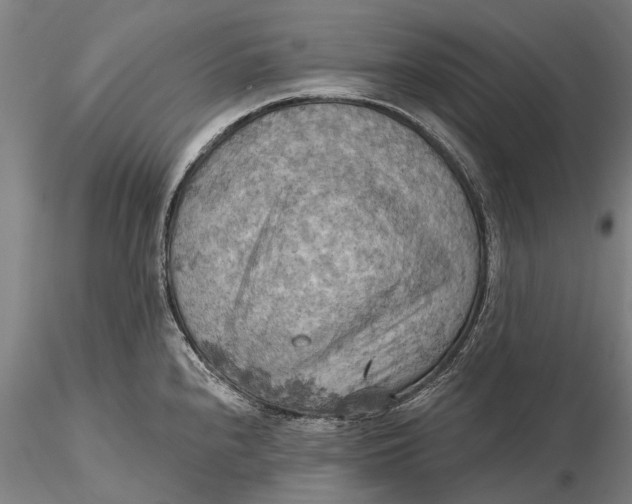 X0000115591240200912011455