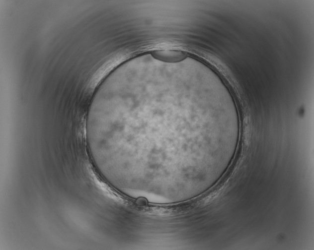 X0000115591241200912011455