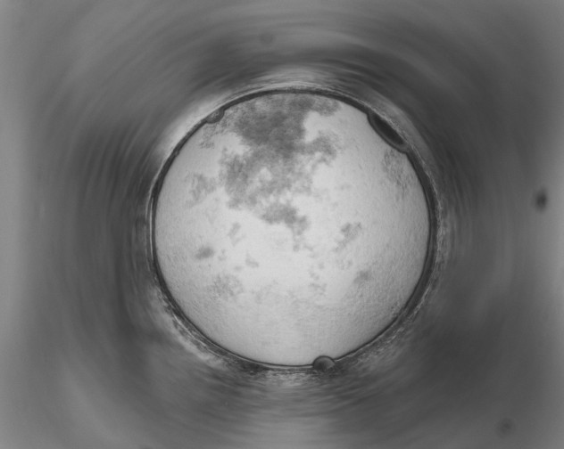 X0000115591242200912011455